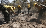 Wildfires kill 339,000 people per year: study