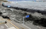 UNICEF triển lãm ảnh thảm họa sóng thần ở Nhật