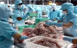 Mỹ thay đổi mức chống phá giá với cá tra Việt Nam