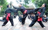 Traditional Vietnamese martial arts attract French friends