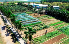 Trên 2.500 tỷ đồng và 171 triệu USD đầu tư cho các khu, điểm du lịch