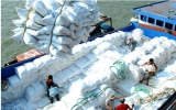 Rice exports gain momentum