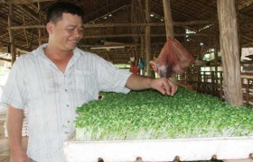 Xuất hiện nhiều mô hình sản xuất - kinh doanh giỏi