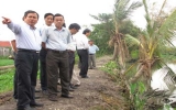 Phó Chủ tịch UBND tỉnh Trần Văn Nam kiểm tra các công trình đê bao
