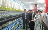 Duy Nam fiber plant inaugurated