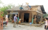 Lào Cai: Mưa đá dữ dội gây hại hoa màu, nhà cửa
