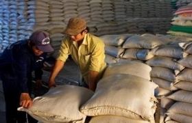 ASEAN countries look to export more rice