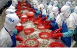 EU to import more Vietnamese seafood