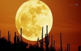 Siêu Mặt trăng có gây thảm hoạ cho Trái đất?