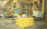 Thanh Loi Animal Feed Private Enterprise, 20-year development