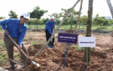 Over 1,000 unionists plant green trees at Binh Duong New City