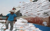 Xuất khẩu gạo đạt 3 triệu tấn