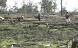 Kỷ luật Bí thư, Chủ tịch xã tự ý cắt đất rừng cho doanh nghiệp nuôi tôm