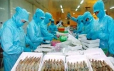 The Middle East- a lucrative market for Vietnamese seafood