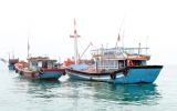 Gập ghềnh hải sản Việt Nam