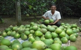 To meet modern time farmers