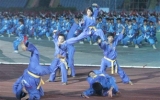 Binh Dinh to host Int’l Vovinam festival