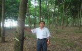 Nông dân Lương Văn Song: Tỷ phú “cây - con”