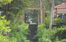 Thơ mộng Cù lao Rùa