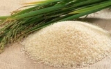 Mục tiêu xuất khẩu 7 triệu tấn gạo: Cần nỗ lực nhiều