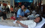 Ban Chỉ đạo vận động hiến máu tình nguyện tỉnh vận động được trên 7.200 đơn vị máu