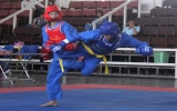 Binh Duong Vovinam Champs 2012 kicks off