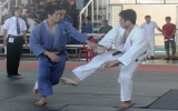 Binh Duong ranks second at southeastern Judo champs