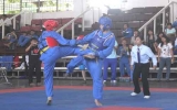 TDM city tops 2012 provincial Vovinam champs