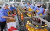 100 DN nhận giải thương hiệu Việt bền vững 2012