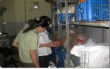 Bình Dương: Thanh, kiểm tra cơ sở sản xuất bánh trung thu