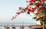 越南即将举行2013年海防“红河三角洲”国家旅游年