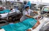Một người ở Hà Nội tử vong do nhiễm liên cầu lợn