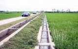 FAO hỗ trợ Việt Nam trong xây dựng nông thôn mới