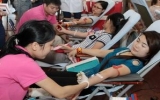 4.500 “người Việt trẻ” tham gia hiến máu nhân đạo