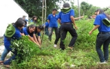 Bảo vệ môi trường ở Phú Giáo:  Kết quả bước đầu