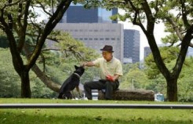 World must work out how to cope with ageing: UN