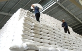 Việt Nam có thể xuất khẩu 7,5 triệu tấn gạo