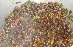Ốc Hương An