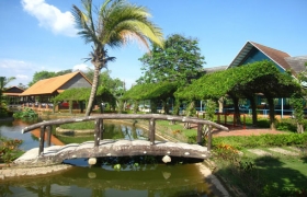 Nét đồng quê gần gũi...