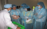 Đoàn giám sát HĐND tỉnh: Khảo sát thực tế về chất lượng an toàn vệ sinh thực phẩm