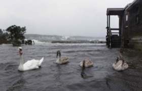 US storm damage could hit $50 bn: Eqecat