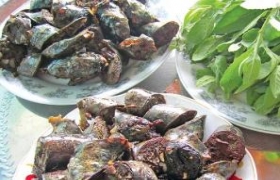 Dồi heo lá cúc tần