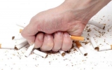 Vì sao thuốc lá khó bỏ?