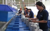 Việt Nam sau 6 năm gia nhập WTO: Thành công và những hạn chế