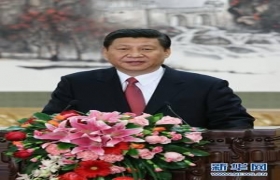 Xi Jinping elected general secretary of CPC Central Committee