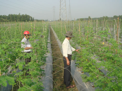 Nhiều chỉ tiêu phát triển kinh tế