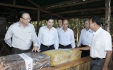 Thắt chặt mối quan hệ, hợp tác giữa tỉnh Bình Dương và tỉnh Chămpasắc (CHDCND Lào)