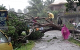 Siêu bão Bopha đổ bộ vào Philippines