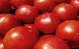 Ăn cà chua giúp giảm nguy cơ trầm cảm