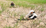 Trung Bộ, Nam Bộ đối diện với khô hạn bất thường